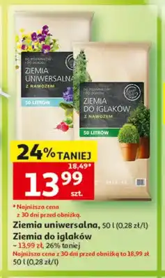Auchan Ziemia do iglaków z nawozem oferta