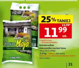 Auchan Uniwersalna mieszanka nasion traw Trawa Maja oferta
