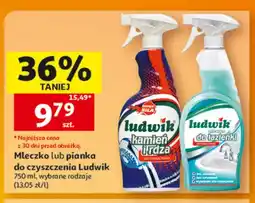 Auchan Pianka do czyszczenia kamień i rdza Ludwik oferta