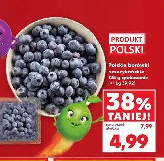 Kaufland Borówki amerykańskie Polski oferta