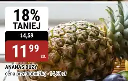 bi1 Ananas Duży oferta