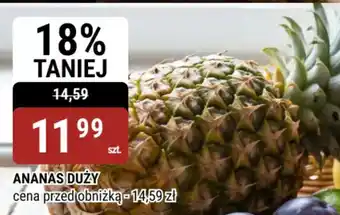 bi1 Ananas Duży oferta