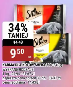 bi1 Karma dla kotów Sheba oferta
