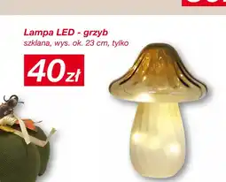 KiK Lampa LED Ok oferta
