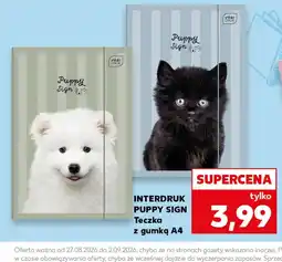 Kaufland Teczka Interdruk oferta