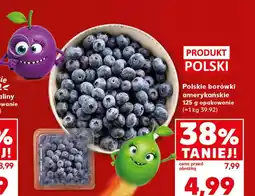 Kaufland Borówki amerykańskie Polski oferta