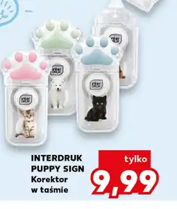 Kaufland Korektor Interdruk oferta