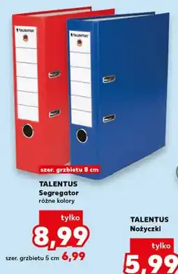 Kaufland Segregator TALENTUS szer. grzbietu 8 cm oferta