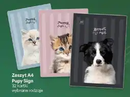Delikatesy Centrum Zeszyt A4 Pupy Sign 32 kartki oferta