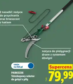 Lidl PARKSIDE Teleskopowy sekator do gałęzi z piłą oferta