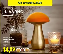 Lidl LIVARNO HOME Dekoracja jesienna z terakoty oferta