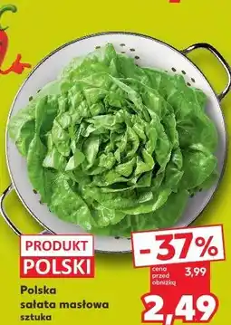 Kaufland Polska sałata masłowa oferta