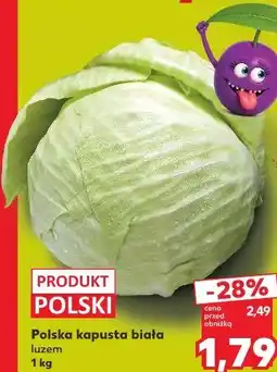 Kaufland Polska kapusta biała luzem oferta