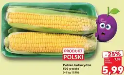 Kaufland Polska kukurydza oferta