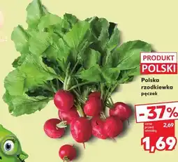 Kaufland Polska rzodkiewka pęczek oferta
