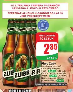 Dino Piwo Żubr oferta