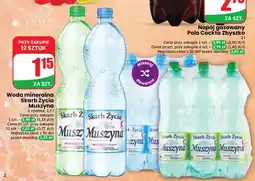 Dino Woda mineralna Skarb Życia Muszyna oferta