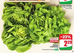 Dino Sałata masłowa oferta