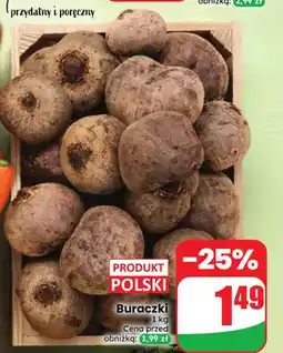 Dino Buraczki polskie oferta
