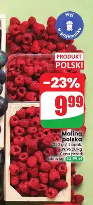 Dino Maliny polskie oferta