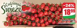 Dino Pomidory cherry oferta