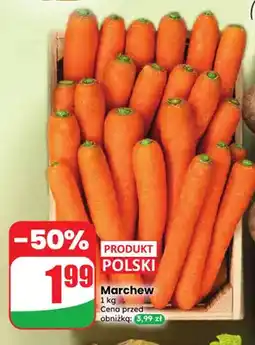 Dino Marchew polska oferta