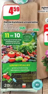 Dino Ziemia kwiatowa uniwersalna oferta