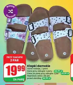 Dino Klapki damskie oferta