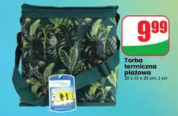 Dino Torba termiczna plażowa oferta