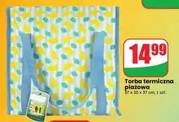 Dino Torba termiczna plażowa oferta