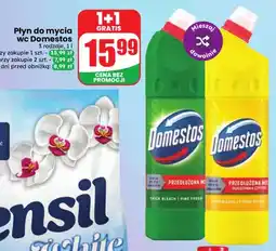 Dino Płyn do mycia WC Domestos Pine Fresh oferta