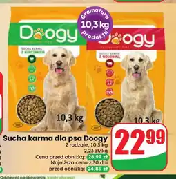 Dino Sucha karma dla psa z kurczakiem Doogy oferta