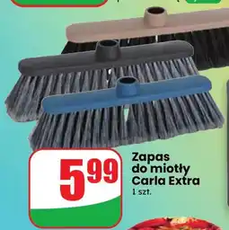 Dino Zapas do miotły Carla Extra oferta