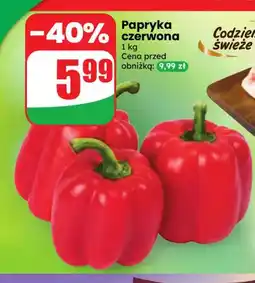 Dino Papryka czerwona oferta