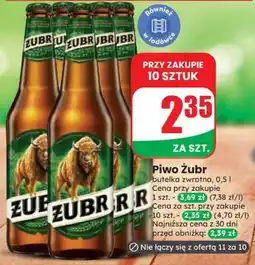 Dino Piwo ŻUBR oferta