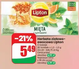 Dino Herbata ziołowo-owocowa Lipton oferta