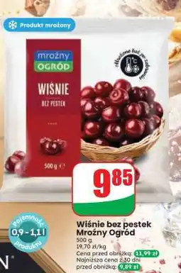 Dino Wiśnie bez pestek Mroźny Ogród oferta