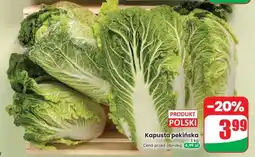 Dino Kapusta pekińska oferta