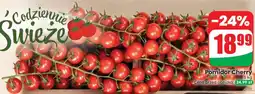 Dino Pomidor cherry oferta