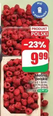 Dino Malina polska oferta