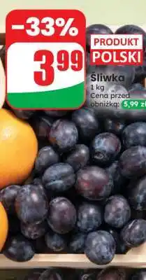 Dino Śliwka oferta