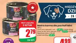 Dino Mokra karma dla psa Rafi Mini oferta