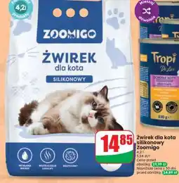 Dino Żwirek dla kota silikonowy Zoomigo oferta