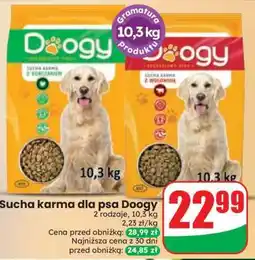 Dino Sucha karma dla psa Doogy oferta
