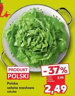 Kaufland Polska sałata masłowa sztuka oferta