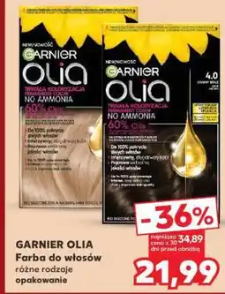 Kaufland GARNIER Olia oferta