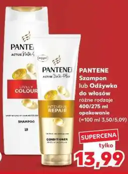 Kaufland PANTENE Szampon lub odżywka do włosów oferta