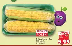 Kaufland Polska kukurydza 500 g tacka oferta