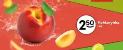 Żabka Nektarynka oferta