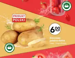 Żabka Ziemniaki jadalne siatka oferta